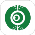 涨眼 古玩app