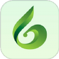 碳达峰二app