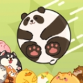 合合星球游戏红包版手机版