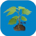 构树商城app安卓版