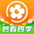 妙看四季软件最新版