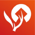 柴鹿app