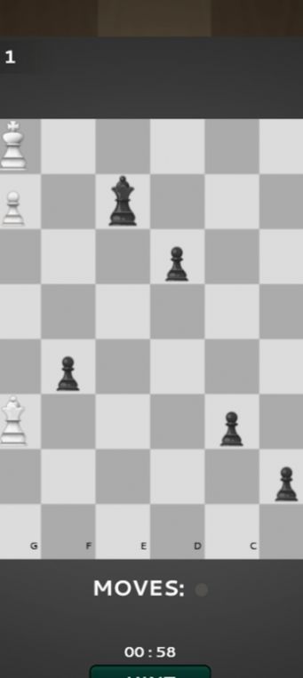 国际棋的狂热游戏安卓版高清大图