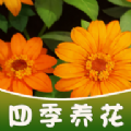 四季养花游戏红包版安卓版