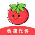 番茄代售交易平台