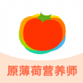 薄荷宝箱软件最新版