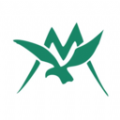 凯蒙药城app