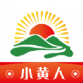 小黄人免费正版