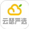 云瑟严选软件最新版