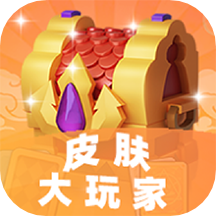 皮肤大玩家app