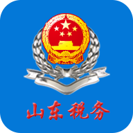 山东省电子税务局app安装
