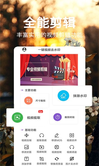 一键视频去水印软件高清大图