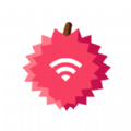 荔芝wifi软件