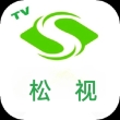 松视测试版tv电视盒子