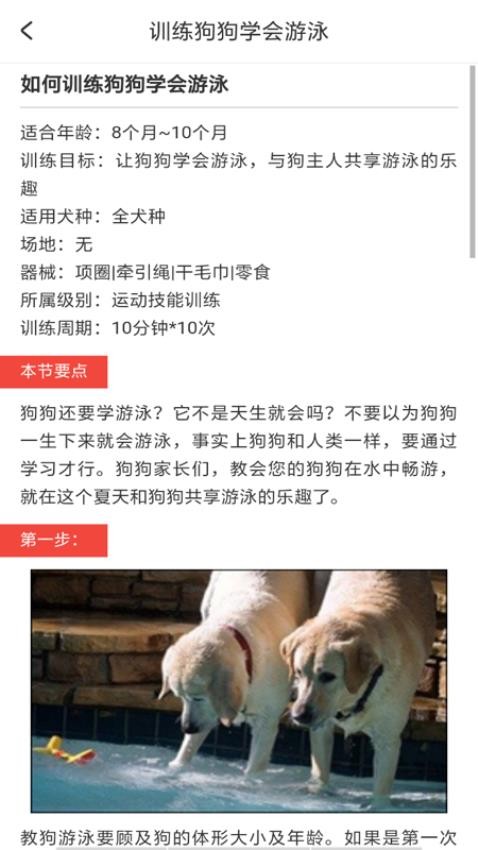 猫狗对话翻译器免费版高清大图