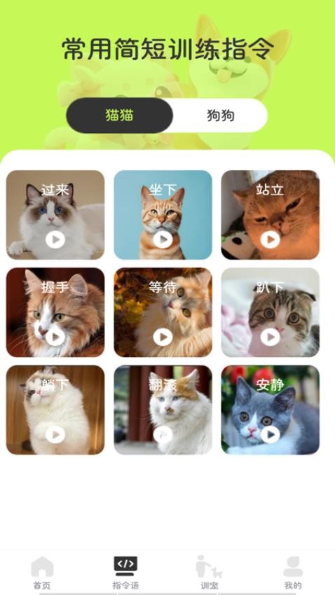 猫狗对话翻译器免费版高清大图