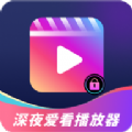 深夜播放器软件