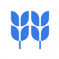 稻壳文档app