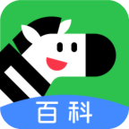 斑马百科app安卓版