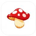 讲多音app
