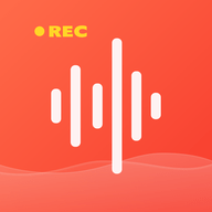 龙博录音转文字pro