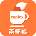 茶杯狐2024