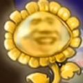杂交植物战争派对游戏最新版