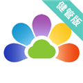 开云健管版app