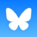 Bluesky Social app