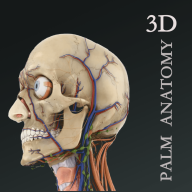 掌上3D解剖app安卓版免费