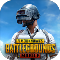 pubg国际服官方正版