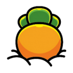 果茶视频app官方版