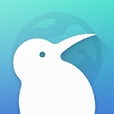 kiwi浏览器去广告版安装