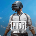 PUBG国际服官方入口手机版