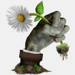 植物大战僵尸手游现实画风版