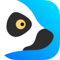 狐猴浏览器app老版本
