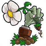 植物大战僵尸废物直装版安卓