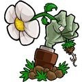 植物大战僵尸∀版支线游戏安卓