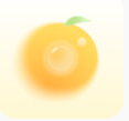 盐橘相机app安装