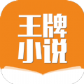 王牌小说app安装