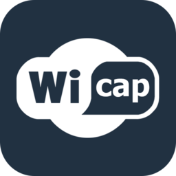 WicapDemo软件