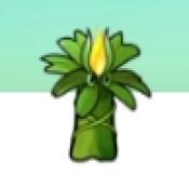 植物大战僵尸融合NIEJO版安卓版安装