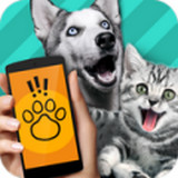 动物语言翻译器APP免费无需登录