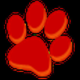 大猫影院app官方免费