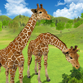 长颈鹿丛林生活模拟器