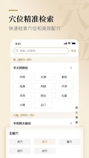 经络穴位标准指南高清大图