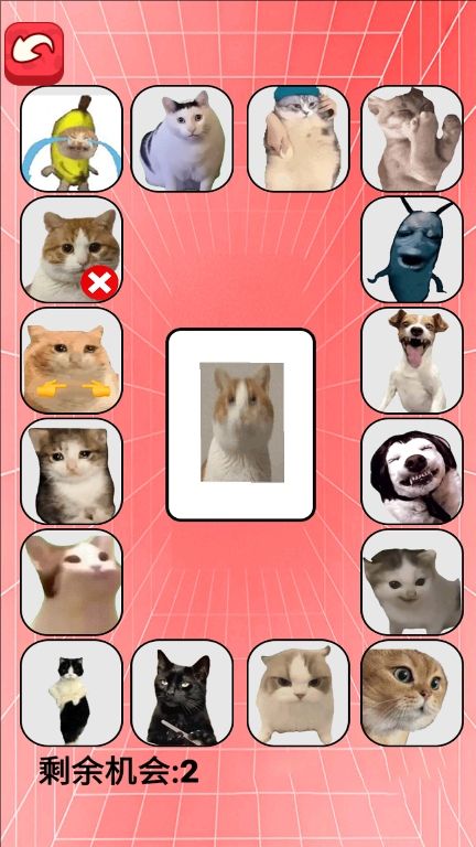 猫meme考试免广告版高清大图