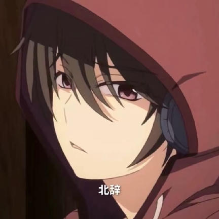 北辞16.0官方正版