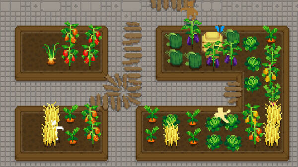 小小露台官方版安装高清大图