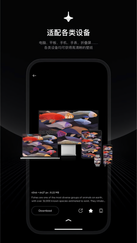 时空壁纸app高清大图